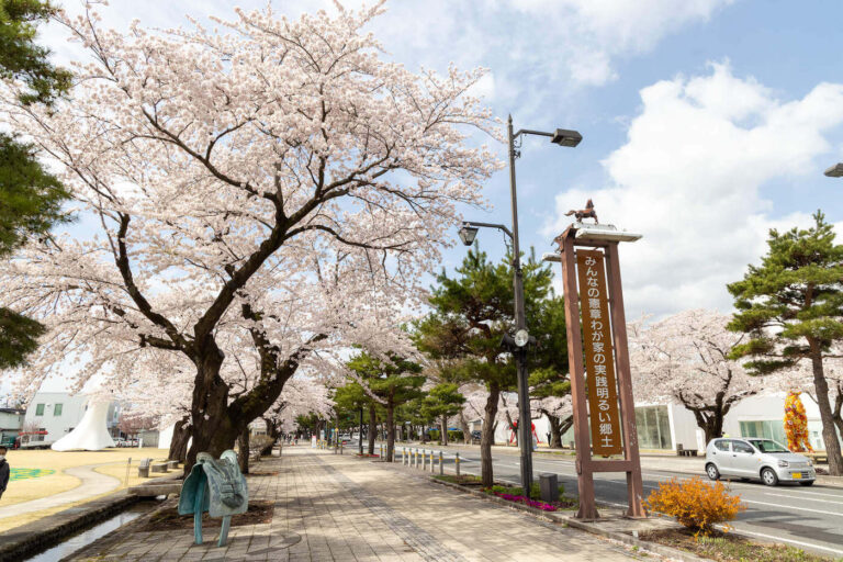 十和田市官庁通り-春