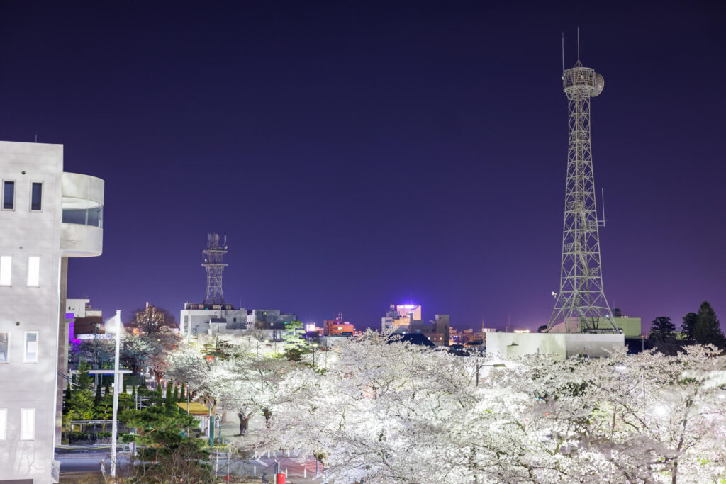 夜桜 | 十和田市役所3階展望ロビー
